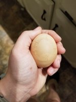 20180926_180736.jpg