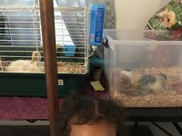 E2B98801-22C3-4373-B3BF-57AF43759414.jpeg