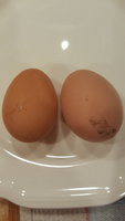 20180926_084109.jpg