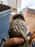 20180927_094007.jpg