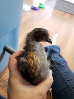20180927_093844.jpg