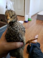 20180927_094013.jpg