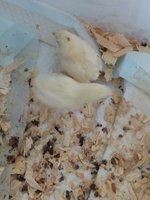 20180927_171507.jpg