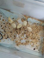 20180927_171501.jpg