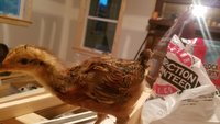 20180927_175221.jpg