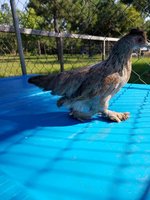 20180607_165821.jpg