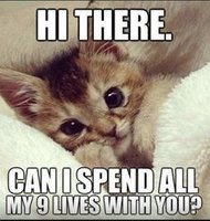 E682F182-E370-4DF5-A877-3689A86210C9.jpeg