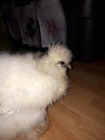 20180928_120922.jpg