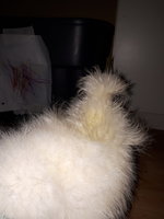 20180928_121458.jpg