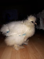 20180928_121518.jpg