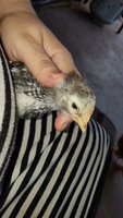 20180927_141851.jpg