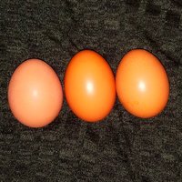 20180926_155433.jpg