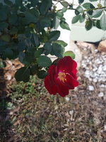 20180929_073036.jpg