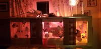 20180928_194835.jpg