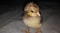 20180928_214036.jpg