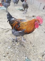 20180929_103323.jpg