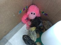 IMG_20180929_120430337.jpg