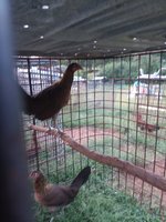 20180929_190134.jpg