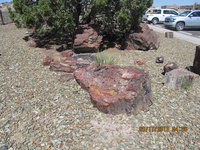 IMG_1039.JPG