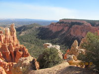 IMG_1133.JPG