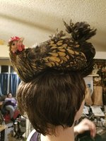 20180224_220739.jpg