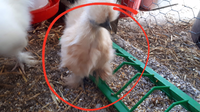 494C1506-F1E9-472F-B2EC-A0D4DE5828EE.png
