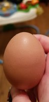 20180930_001451.jpg