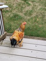 20180930_113924.jpg