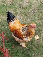 20180930_113841.jpg
