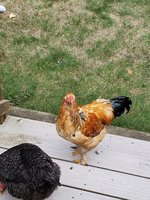20180930_113908.jpg