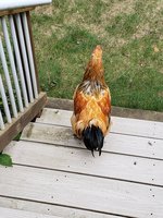 20180930_113921.jpg