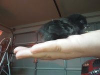 20180927_201647.jpg