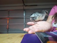 20180927_202053.jpg