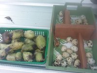 20180930_145237.jpg