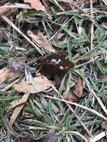 IMG_9150 2.JPG