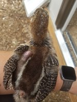 20180930_154143.jpg