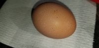 20180930_163502.jpg