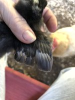 457D0549-53DD-4638-AB72-661AC51E0A44.jpeg