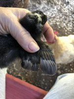03219837-7B40-4672-B11D-37F47C8D2A7A.jpeg