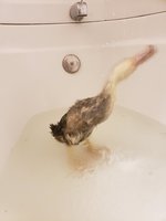 20180930_181702.jpg