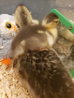 20180930_192035.jpg