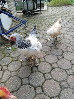 20180930_181913.jpg