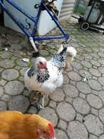 20180930_181924.jpg