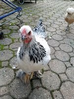 20180930_181908.jpg
