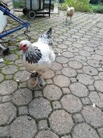 20180930_181906.jpg