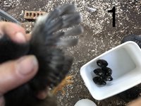 89ED4F31-593F-4943-BA86-8A1B3AE2768D.jpeg