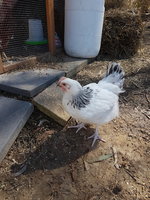 20181001_095757.jpg