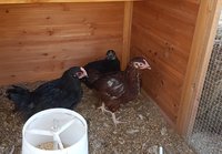 20181001_095952.jpg