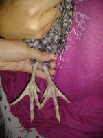 20180930_205015.jpg