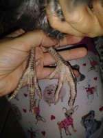 20180930_204959.jpg